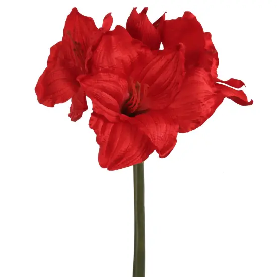 28" Red Amaryllis Stem - Set of 12, Lifelike Silk Flowers, Elegant Holiday D&eacute;cor, Perfect for Christmas, Events & Home Displays, Floral Home by Artificial Flowers {1}