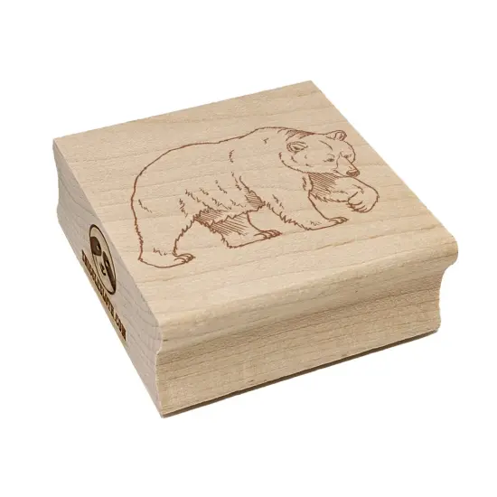 Curious Grizzly Bear Square Rubber Stamp for Stamping Crafting {7}