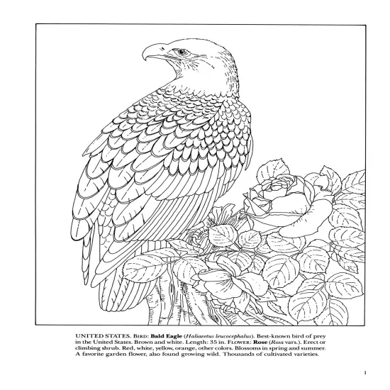 State Birds & Flowers Coloring Book-Softcover {4}