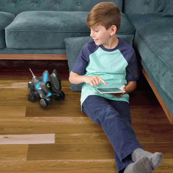 Pyxel The Coding Pet {2}