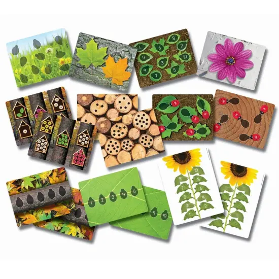 Ladybugs Early Number Card, Pack of 16 {1}