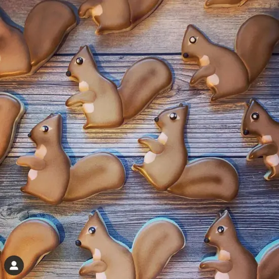 Ann Clark Squirrel Cookie Cutter {3}