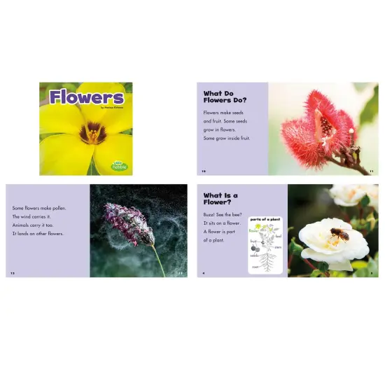 Plant Parts, Set of 6 books {2}