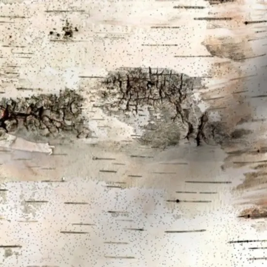 Various Fabrics by the Yard or Fat Quarter Small White Birch Pale Nature Bark Tree Woodland Custom Printed Fabric by Spoonflower {7}