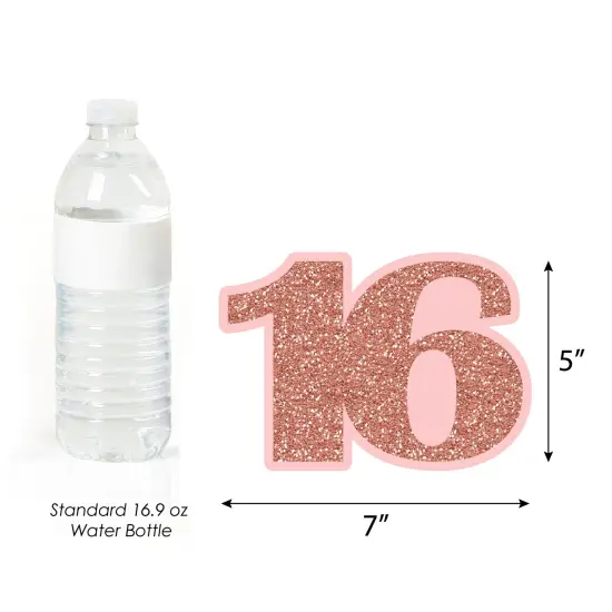 Big Dot of Happiness 16th Pink Rose Gold Birthday - Decorations DIY Happy Birthday Party Essentials - Set of 20 {6}