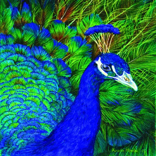 Sunsout Peacock 1000 pc Jigsaw Puzzle 26204 {1}