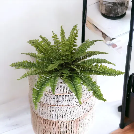 Lifelike Boston Fern Plant - 34" Wide, 27 Realistic Silk Fronds, Maintenance-Free Faux Greenery for Home & Outdoor Decor by Floral Home&reg; {4}