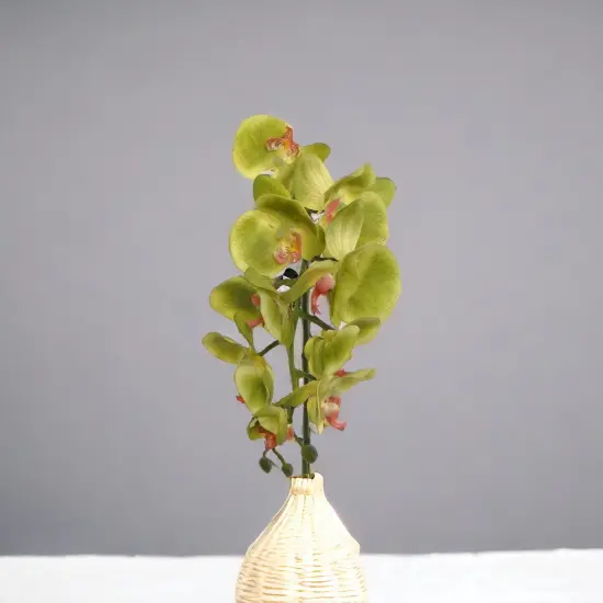 12-Pack: Real Touch Green Phalaenopsis Orchid Stem, Floral Home by Artificial Flowers {3}