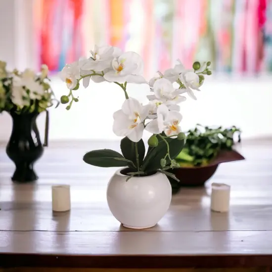 Phalaenopsis Orchid Arrangement: 13-Inch Silk Floral D&eacute;cor in Pot by Floral Home Artificial Flowers {5}