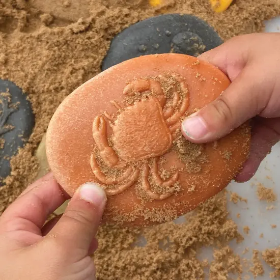 Yellow Door Let's Investigate - Seashore - Set of 8 Stones {6}