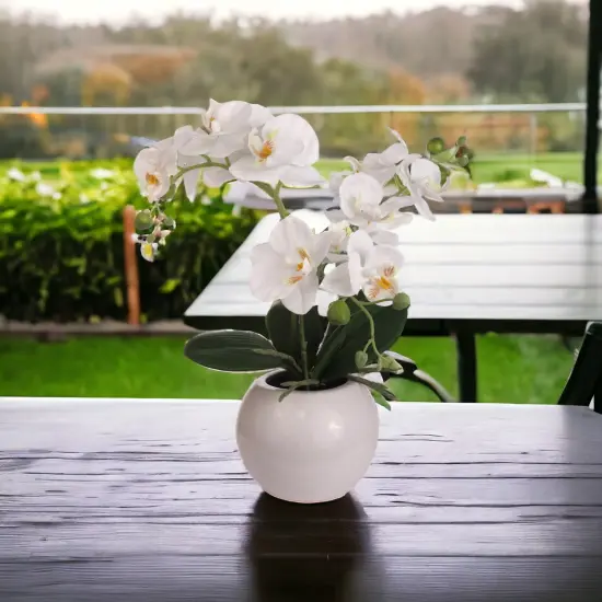 Phalaenopsis Orchid Arrangement: 13-Inch Silk Floral D&eacute;cor in Pot by Floral Home Artificial Flowers {4}