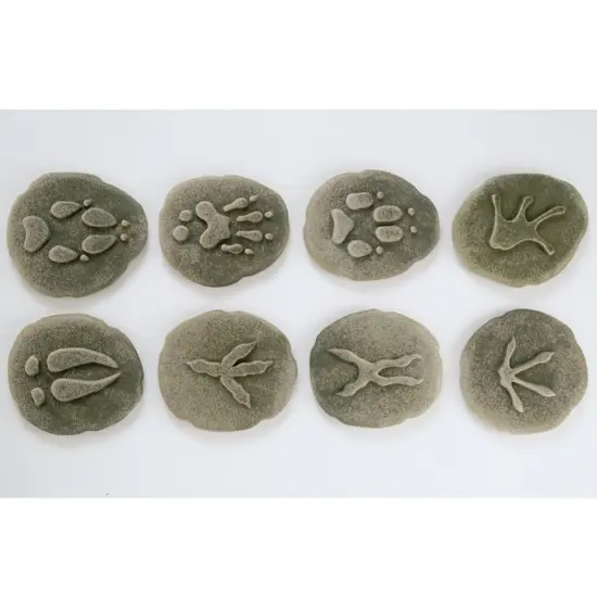 Yellow Door Woodland Footprints - 8 Pieces {4}