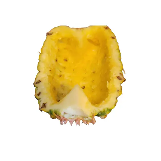 Mini Pineapple Bowl Silicone Mold| Soap Mold| Candle Mold | Mold for Wax| Not Food Grade- Not for Resin {3}