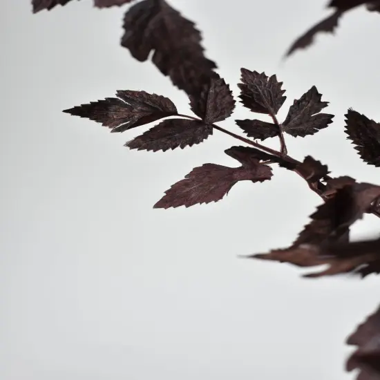 31" Faux Cimicifunga Ramosa Stem: Plum {3}