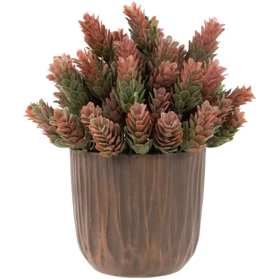 Northlight Two-Tone Wild Flower Artificial Plant in a Textured Lined Pot - 8" Orange {1}
