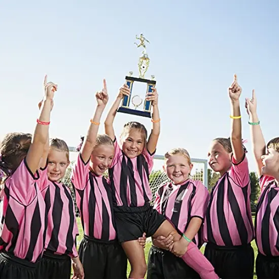 24PCS Star Student Wristbands-Color Star Student Silicone Bracelets,Star Student rubber Bracelets for School Classroom Teacher Recognition Award, Sports Office Education Activities Kids {4}