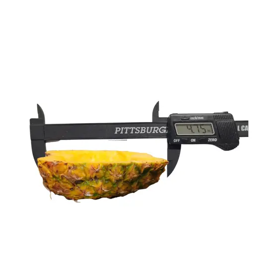 Mini Pineapple Bowl Silicone Mold| Soap Mold| Candle Mold | Mold for Wax| Not Food Grade- Not for Resin {5}