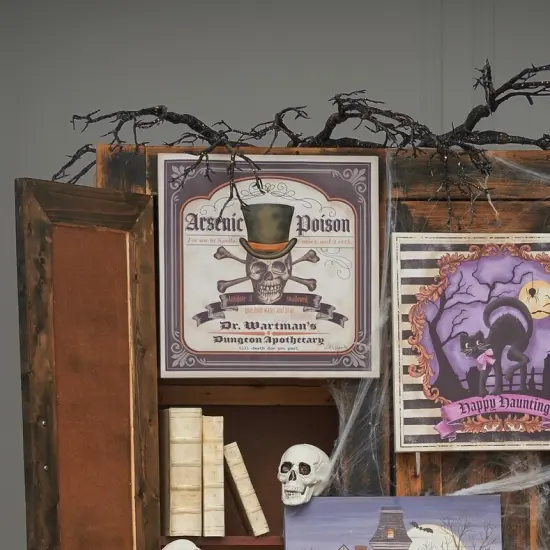 Dr. Wartman's 3D Poison Skeleton Halloween Wall Art Decor Decoration {6}