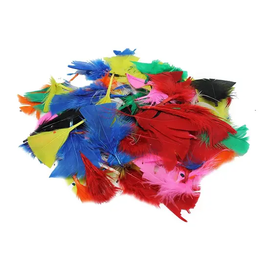 Turkey Feathers, Bright Colors, 14 Grams Per Pack, 12 Packs {1}