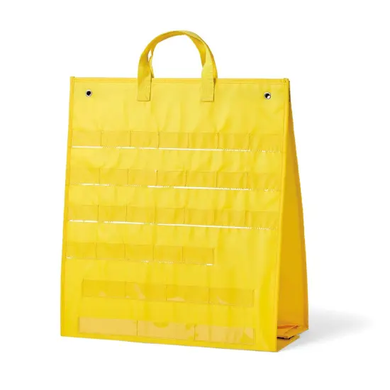 Phonics Skill Building Demonstration Pocket Chart {1}