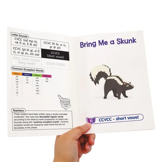 The Beanies Hi-Lo Diversity Decodables Phase 4 Set 2 {3}