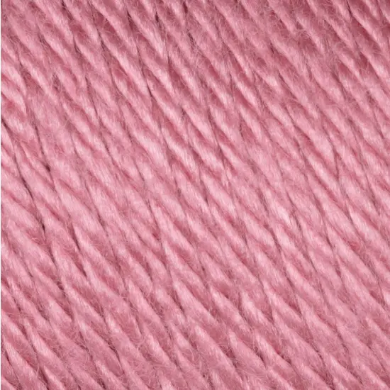 (Pack of 2) Caron Simply Soft Solids Yarn-Plum Wine {2}