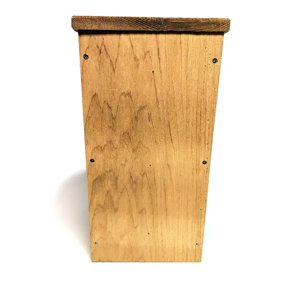 Screech Owl And American Kestrel Nest Box {5}