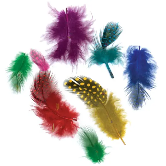 Zucker Guinea Hen Plumage Feathers .1oz-Vibrant {3}
