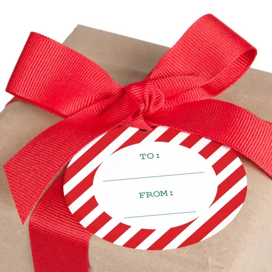 Big Dot of Happiness Santa's Special Delivery - From Santa Claus Christmas Favor Gift Tags (Set of 20) {6}