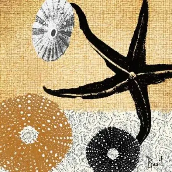 Tidepool Dreams II Poster Print by Jason Basil - Item # VARPDX5628 {1}