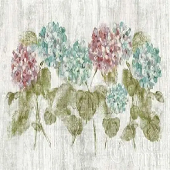 Vibrant Row of Hydrangea on Wood Poster Print byCheri Blum - Item # VARPDX19084 {2}