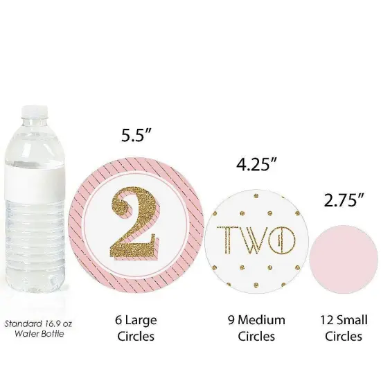 Big Dot of Happiness Two Much Fun - Girl - 2nd Birthday Party Giant Circle Confetti - Party Decorations - Large Confetti 27 Count {4}