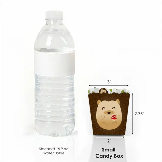 Big Dot of Happiness Forest Hedgehogs - Party Mini Favor Boxes - Woodland Birthday Party or Baby Shower Treat Candy Boxes - Set of 12 {4}