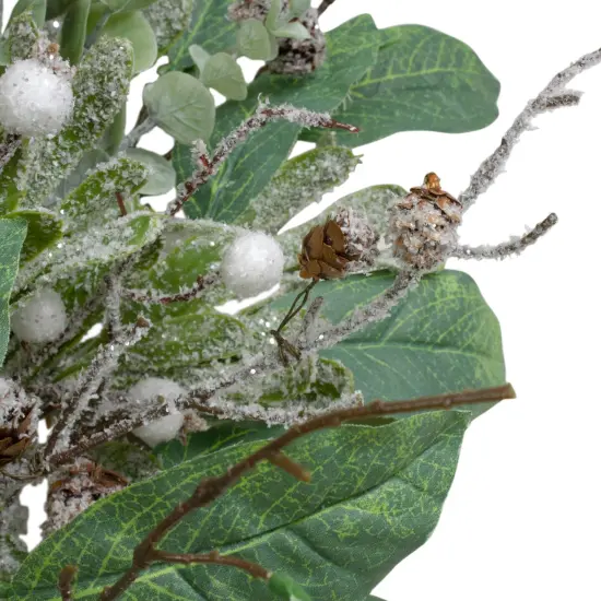 Northlight 25" Artificial Mixed Foliage and Berries Christmas Wreath Unlit Green {4}