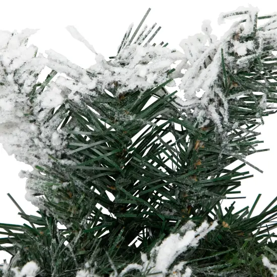 Northlight Flocked Pine Artificial Christmas Wreath - 24" - Unlit White {7}