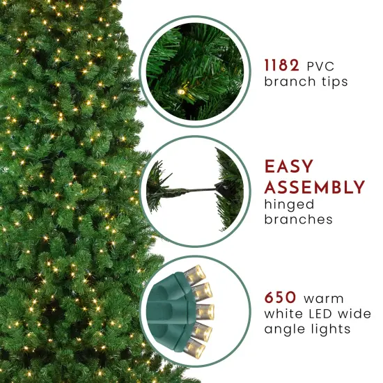 Northlight 7.5' Pre-Lit Slim Olympia Pine Artificial Christmas Tree - Warm White Lights Green {7}