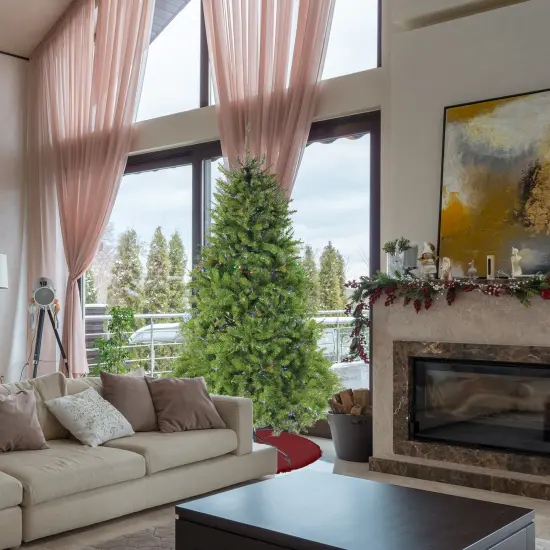 Northlight 7.5' Pre-Lit Full Northern Pine Artificial Christmas Tree - Multicolor LED Lights Green {7}