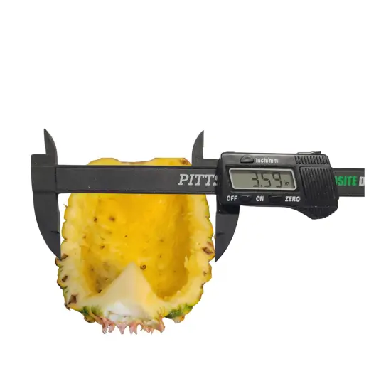 Mini Pineapple Bowl Silicone Mold| Soap Mold| Candle Mold | Mold for Wax| Not Food Grade- Not for Resin {6}