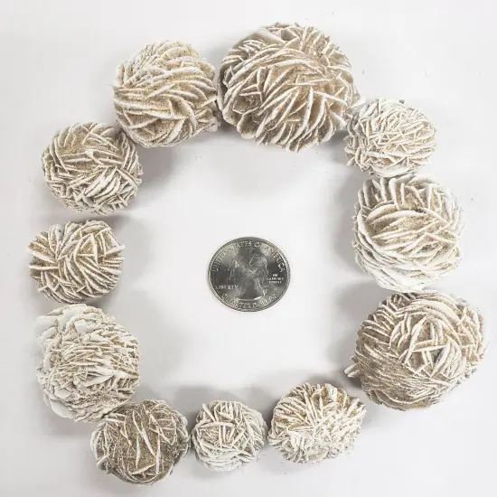 Desert Rose Crystal - Selenite Rose Bulk {5}