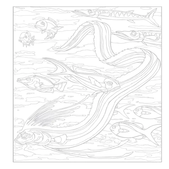 Creative Haven: Sea Life Coloring Book-Softcover {6}