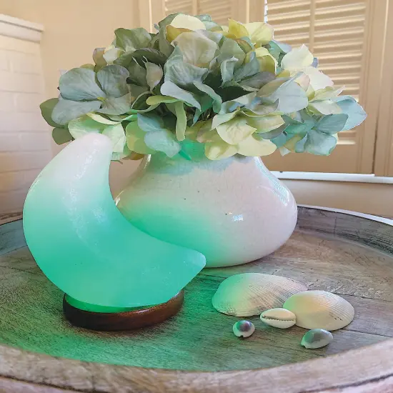 Himalayan Salt Lamp - Moon Light Natural Polished Stone White Moon {4}