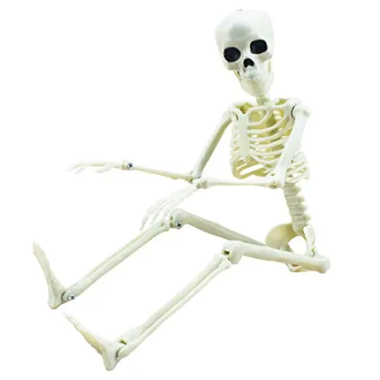 XONOR 16&rdquo; Posable Halloween Skeleton- Full Body Halloween Skeleton with Movable Joints for Haunted House Props Decorations (1pc) {1}