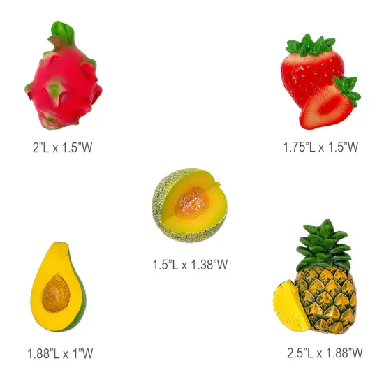 Wrapables 3D Resin Fridge Magnets, Food Simulation, Succulents, Famous Faces Refrigerator Magnets for Kitchen (Set of 5) Fruits {6}