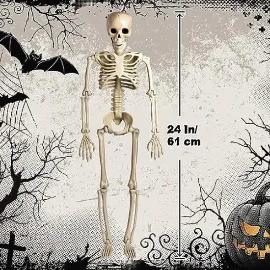 24 Inches Halloween Posable Skeleton, Full Body Skeleton Movable Joints, Plastic Bones for Hanging Halloween Decorations {1}