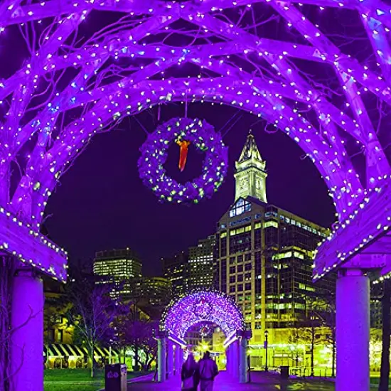 HOME LIGHTING 66ft Halloween Decorative Mini Lights, 200 LED Green Wire Fairy Starry String Lights Plug in, 8 Lighting Modes, for Indoor Outdoor Xmas Tree Wedding Party Decoration (Purple) {2}