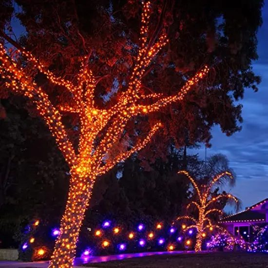 TW SHINE Orange Halloween Lights, 20FT 100 Count Incandescent Halloween Mini String Lights, Waterproof Halloween Decorations for Outdoor Indoor Patio Home Party Garden Yard Decor {4}