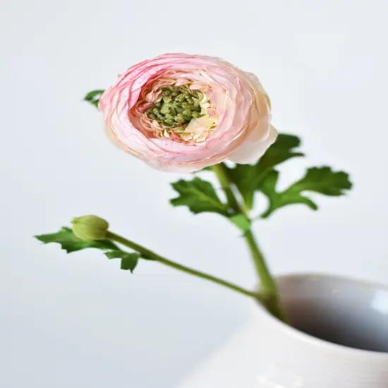 13" Faux Blush Ranunculus Stem {5}