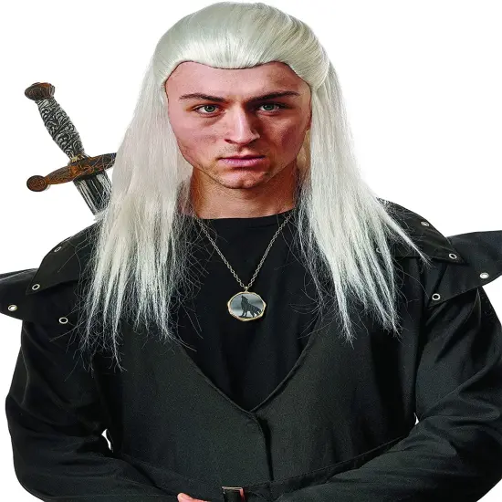 Wig Medieval Knight Adult Costume Wig | Grey {1}