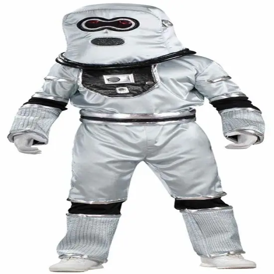 Silver Robot Teen Costume {1}