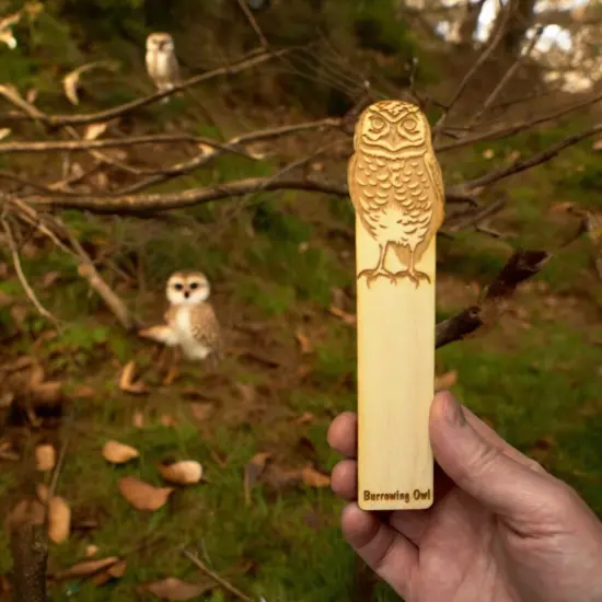 Bookmark - Burrowing Owl - Birch wood {5}